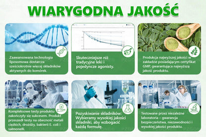🇵🇱 Oficjalny sklep | 💯𝐏𝐙𝐆𝐎𝐍𝐄® Moringa·Berberyna×NAD+ 10-w-1 Plaster (Natychmiastowy efekt, widoczne rezultaty po 7 dniach) ✅ Stosowane w celu utraty wagi, poprawy zwiotczałej skóry, leczenia cukrzycy, bezdechu sennego i problemów ze stawami.
